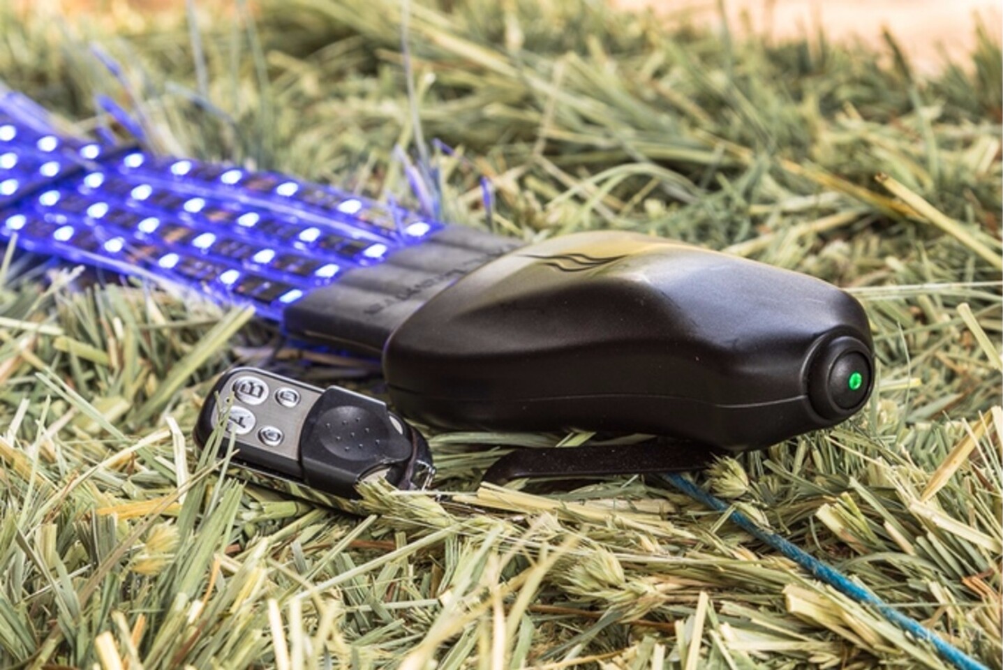 Horseriding safety device brings new meaning to the term "tail light"