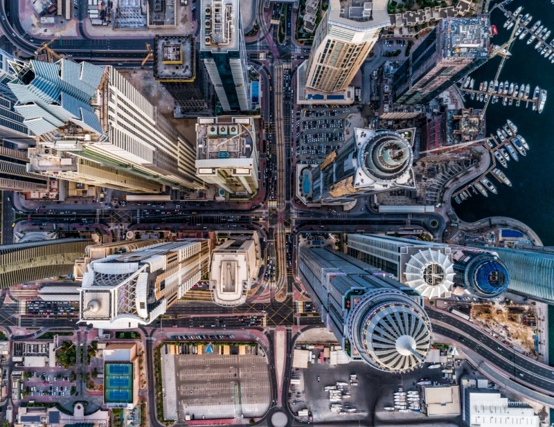 Concrete Jungle: Commended in the Urban category