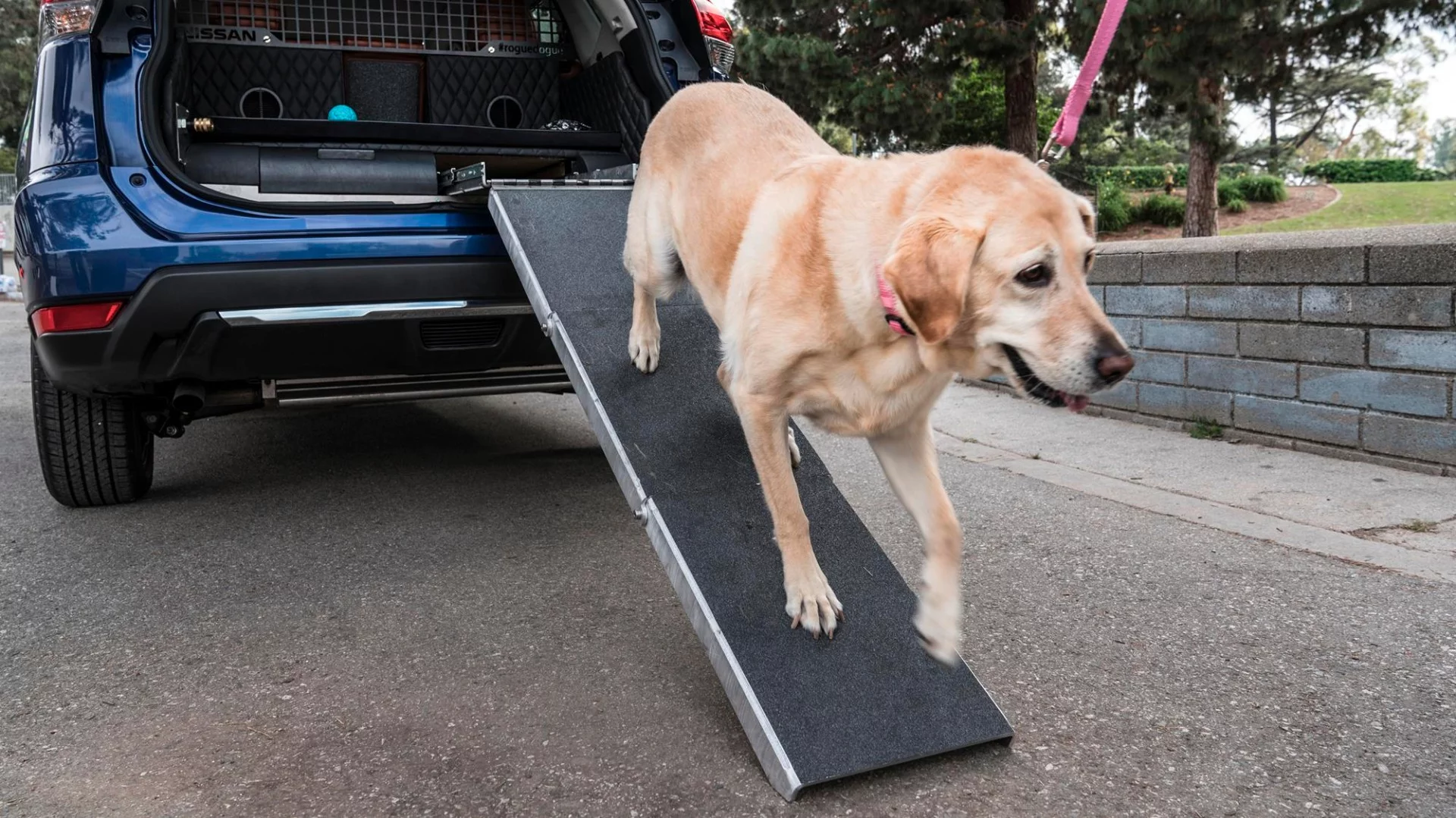 Older dogs and those who don't want their pup jumping in and out of the car will like this ramp idea