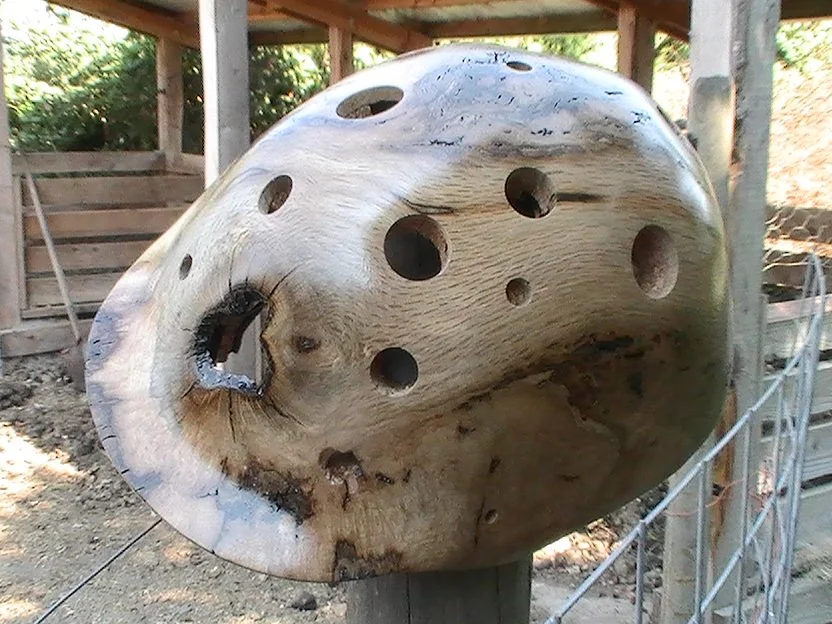 Tree Piece Helmets are a new line of sports helmets made from wood
