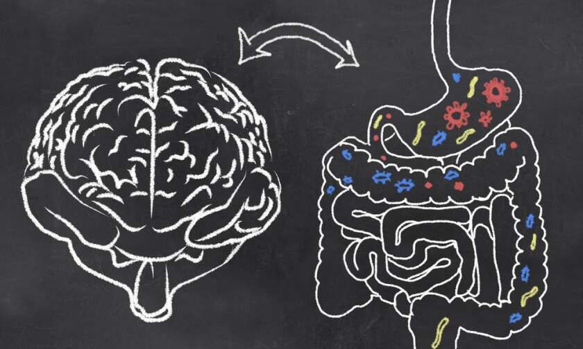 Depression and PTSD may be linked to bacteria in the gut