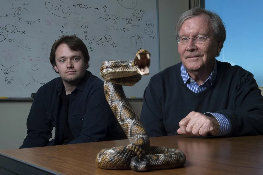 Jeffrey O'Brien (left) and Ken Shea of UC Irvine have developed a new type of snake antivenom that's cheaper to make and easier to store and distribute