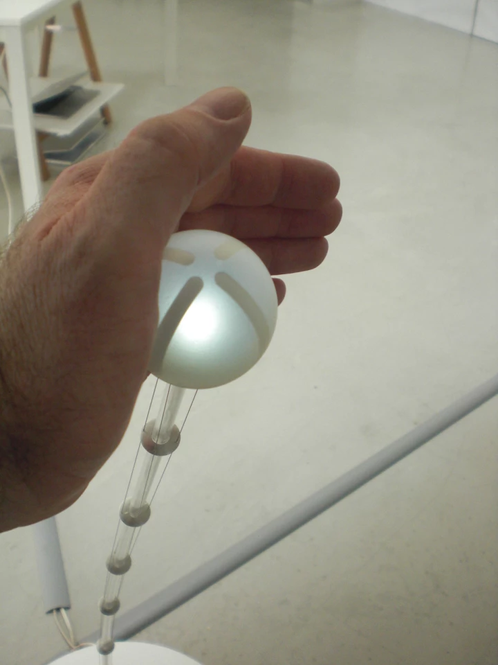 The slow movement of Planula almost invites you to touch it, but you will get a negative response (Photo: Stephen Clemenger/Gizmag.com)