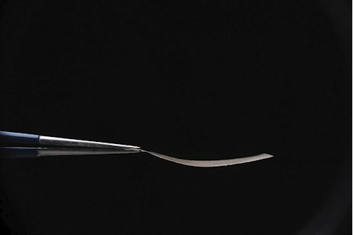 该薄膜对水分有可逆反应,可用于生物基湿度传感器