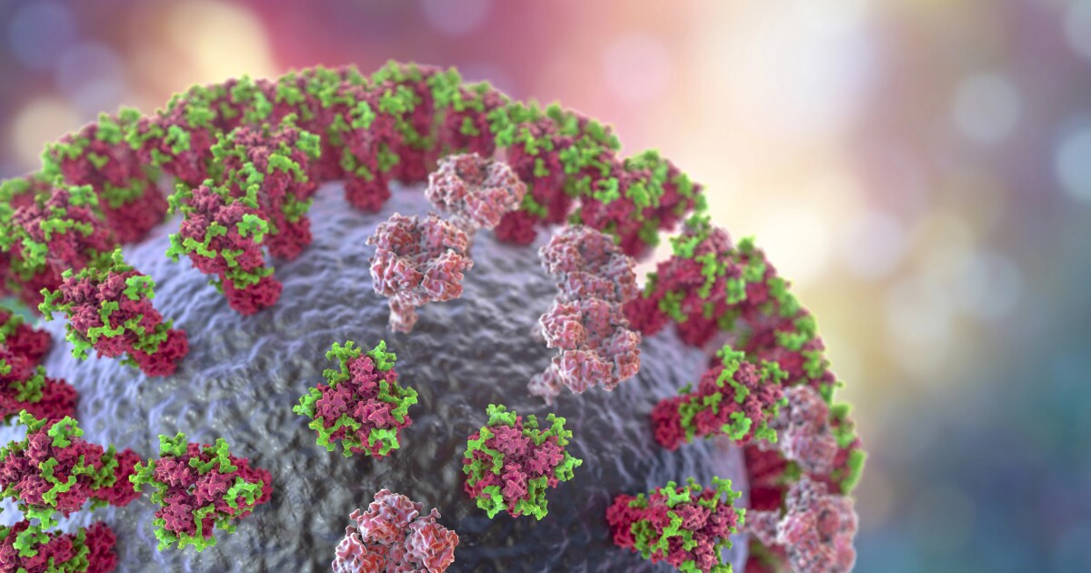 Deadly flu strain H3N2 subclade K spreads rapidly across US