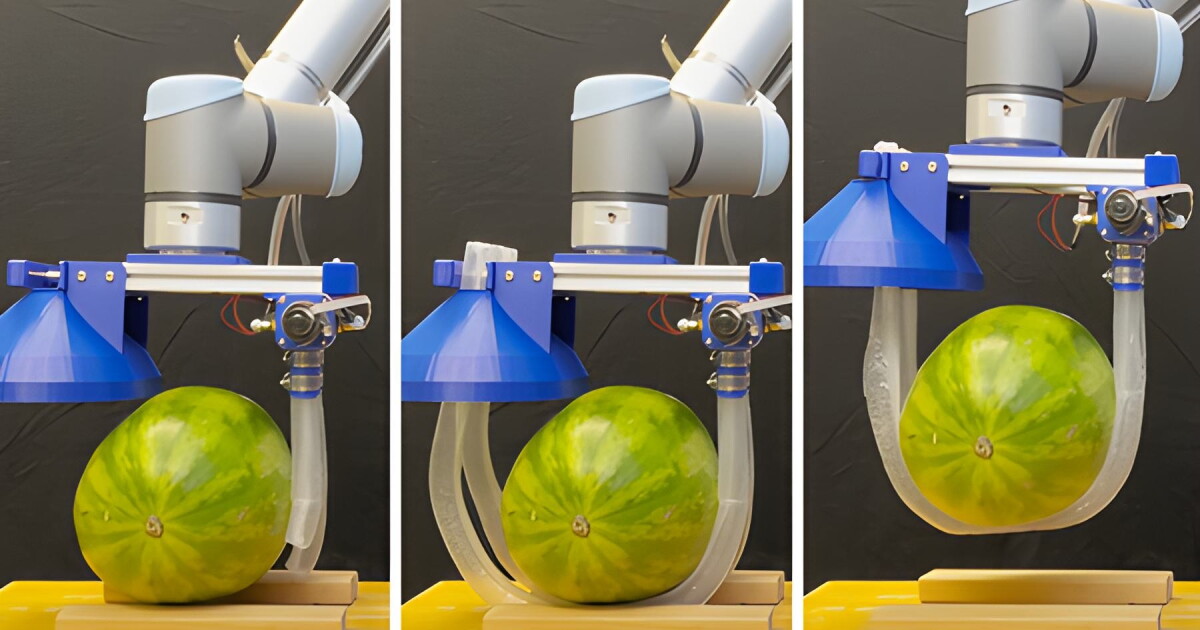 MIT & Stanford’s Vine Robotic Gently Lifts Delicate Gadgets, Individuals MIT & Stanford’s Vine Robotic Gently Lifts Delicate Gadgets, Individuals