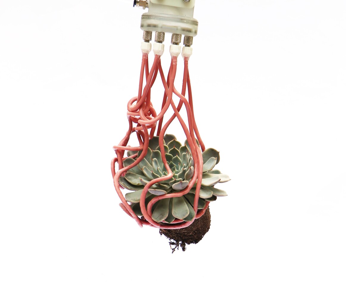 One fluid-filled tube is gentle on the delicate but oddly-shaped houseplant, but a number of tubes curling themselves around the object and themselves give the gripper enough combined strength to lift and hold