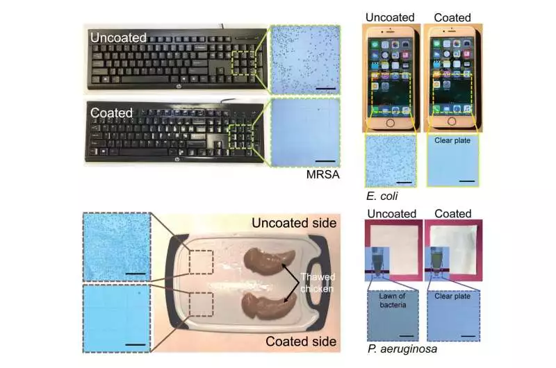 Examples of the coating's antimicrobial performance when applied to various surfaces