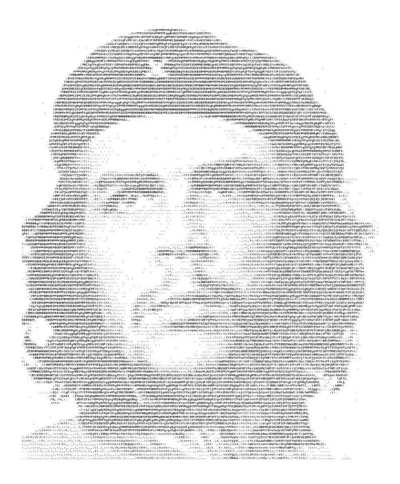 ASCII Che Guevara