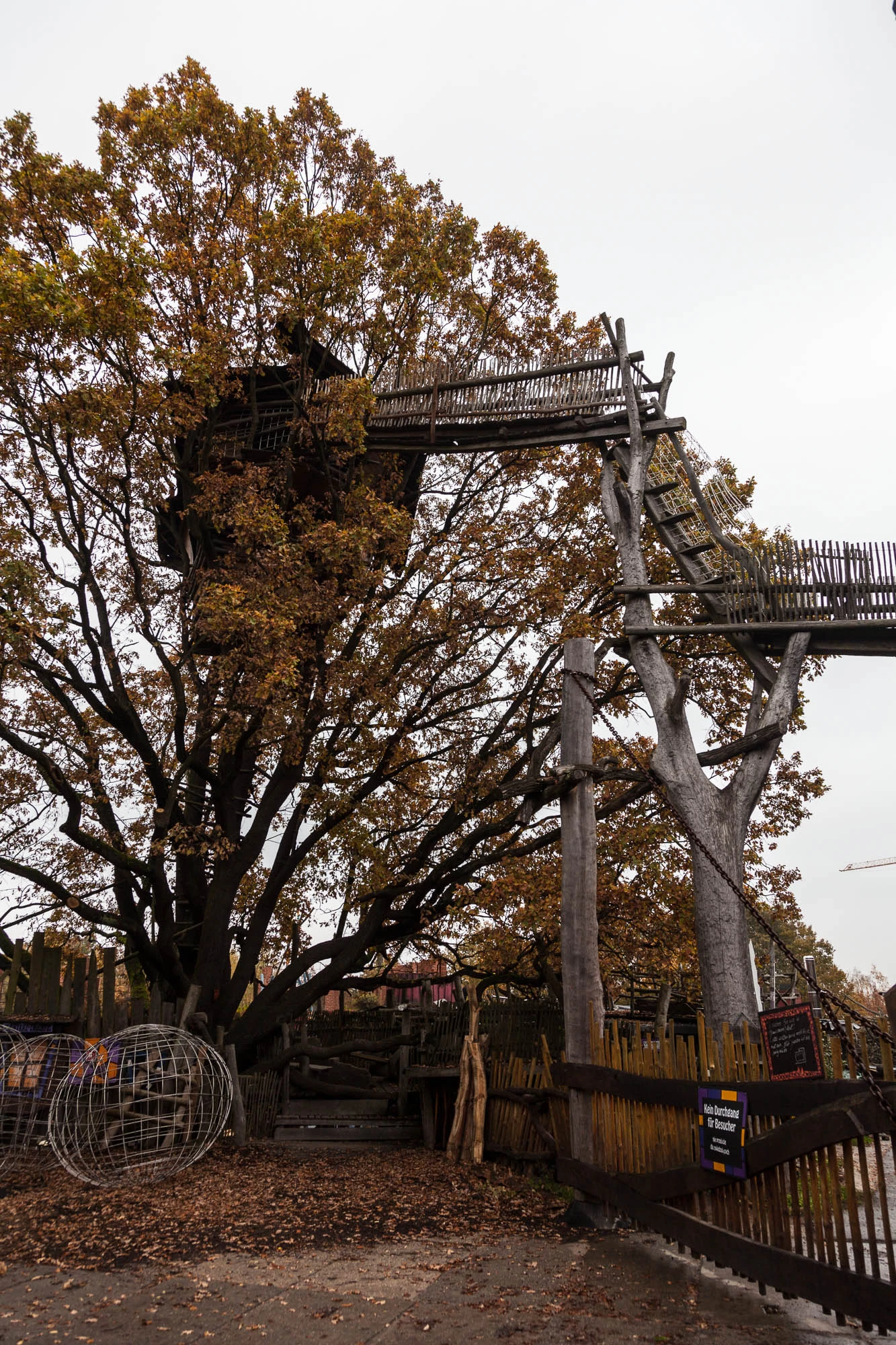 Kulturinsel Einsiedel: the highest of the treehouses is a frightening sight. At ground level, you can see one of the wire 'eggs' in which musicians are slung from trees during the folk festival
