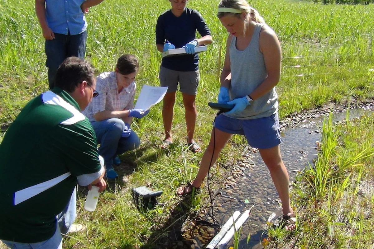 Students test the conditions of water for traces of GMO proteins, using Rice University's Star Trek-inspired device