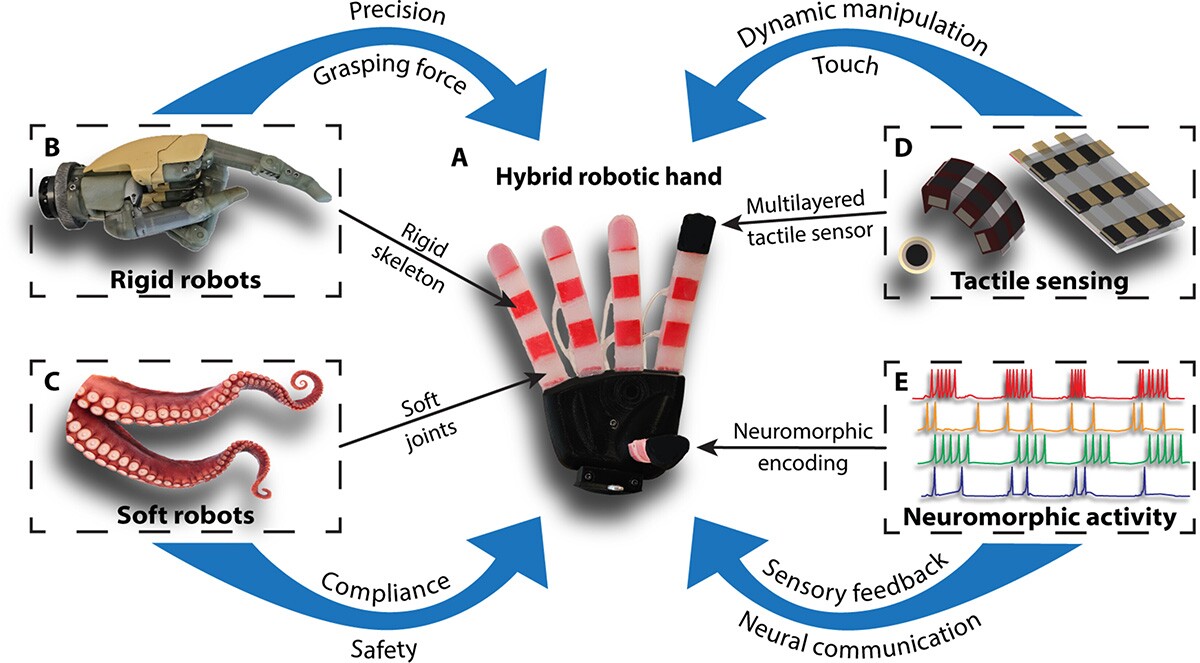 An overview of the various elements of the dexterous robot hand