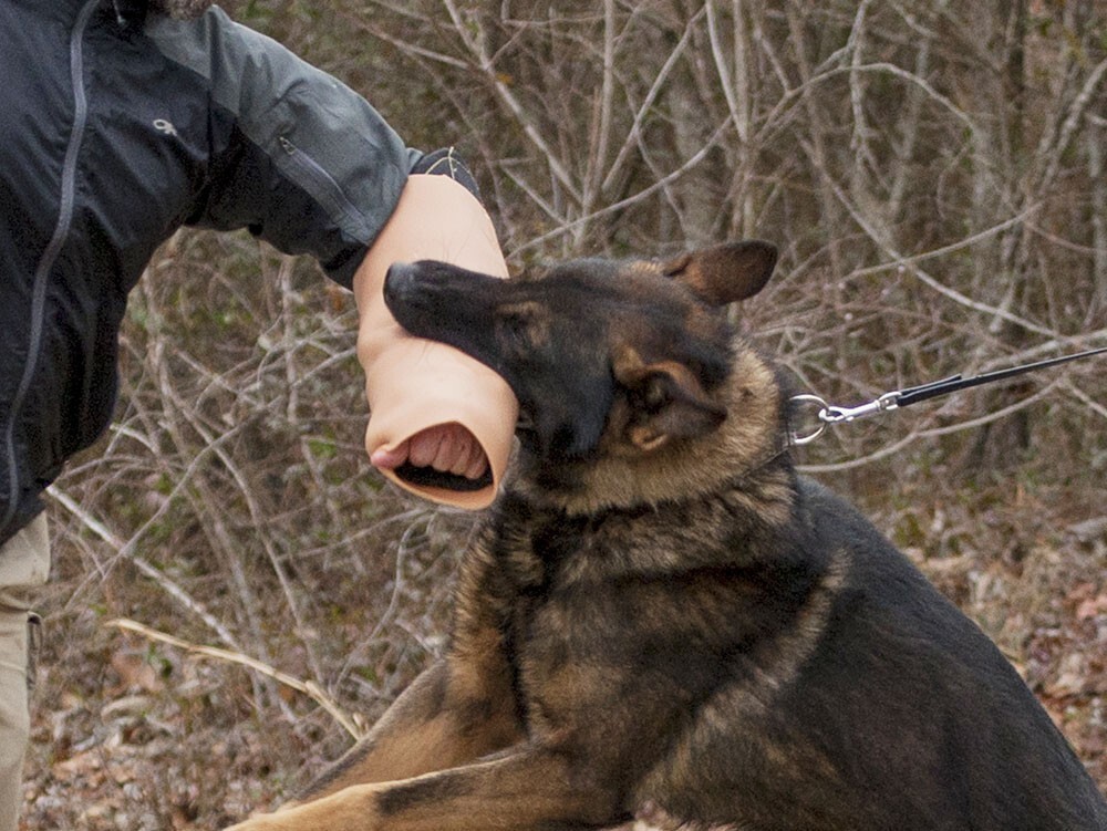 The new bite sleeve is made of a combination of silicone and Kevlar