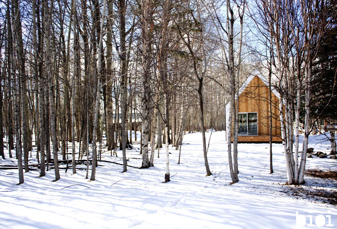 Warburg house by Canadian architects Bioi (Photo by: Alison Anderson)