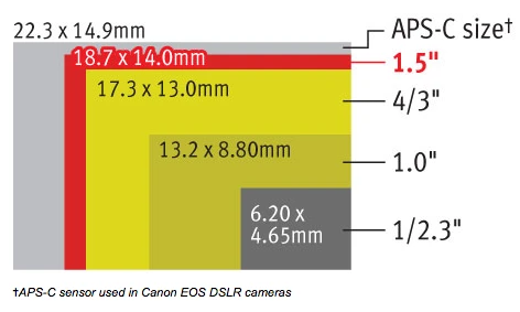 Comparison of sensor sizes to the G1 X's 1.5-inch 14.3 megapixel CMOS sensor