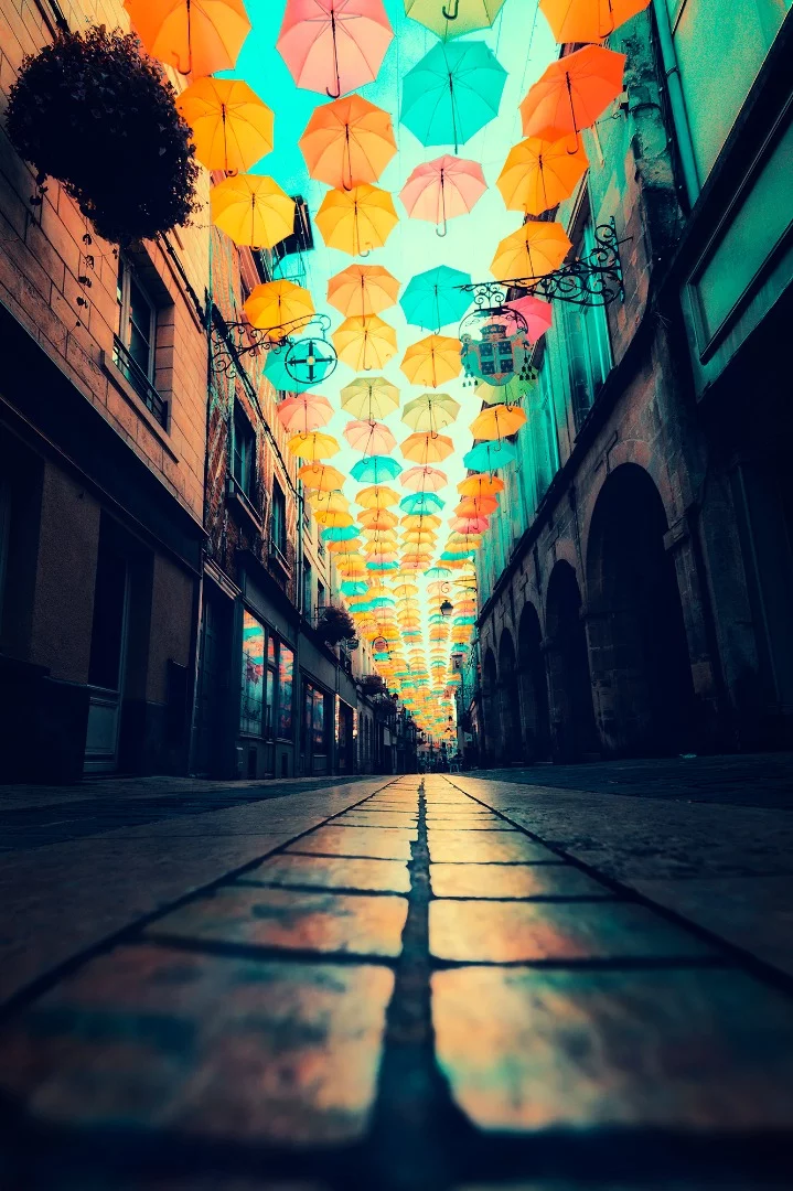 Honorable Mention in the Infrared Color category - City in Full-Spectrum