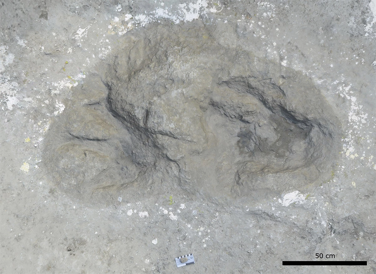 A 3D model of the intersection of theropod and sauropod footprints