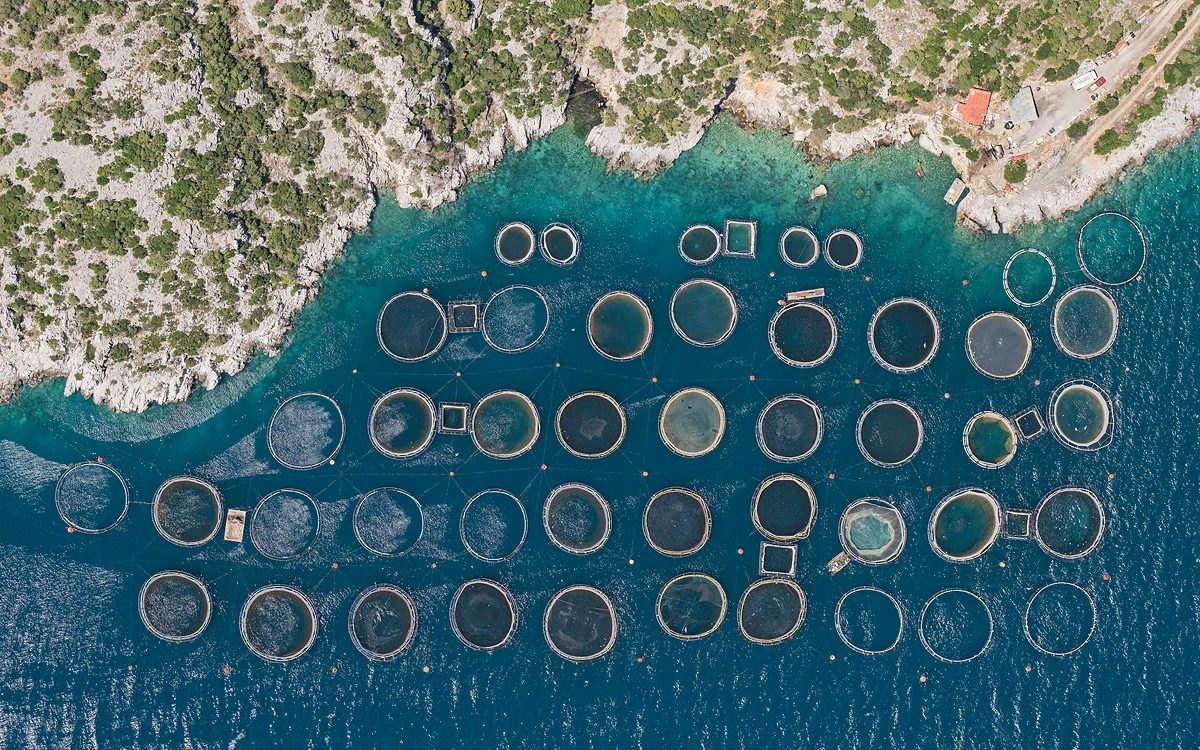 Fish farms off the coast of Greece, 2017