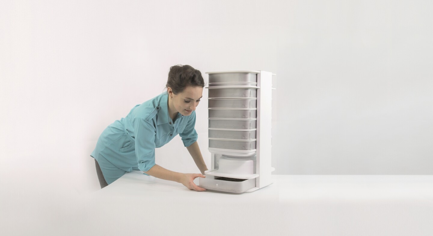 Kitchen insect hive makes a meal of mealworms