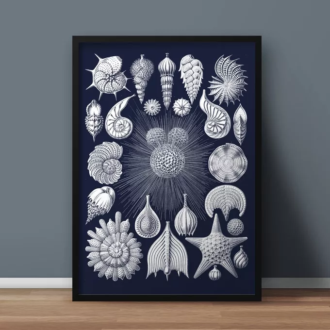 Individual posters are also available