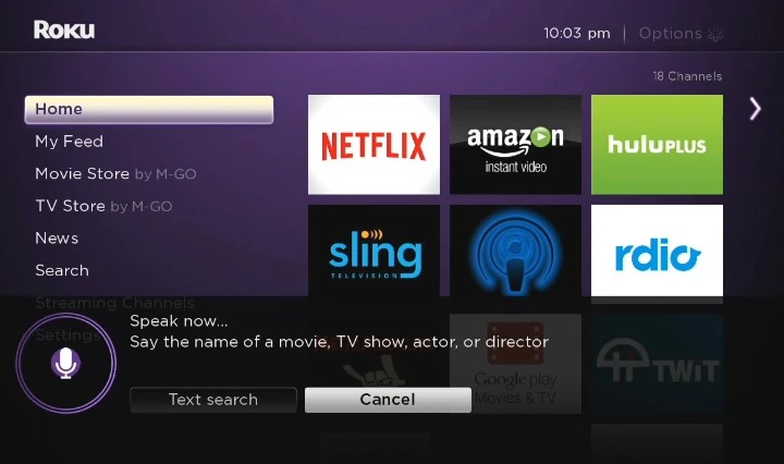 Roku 3 voice search