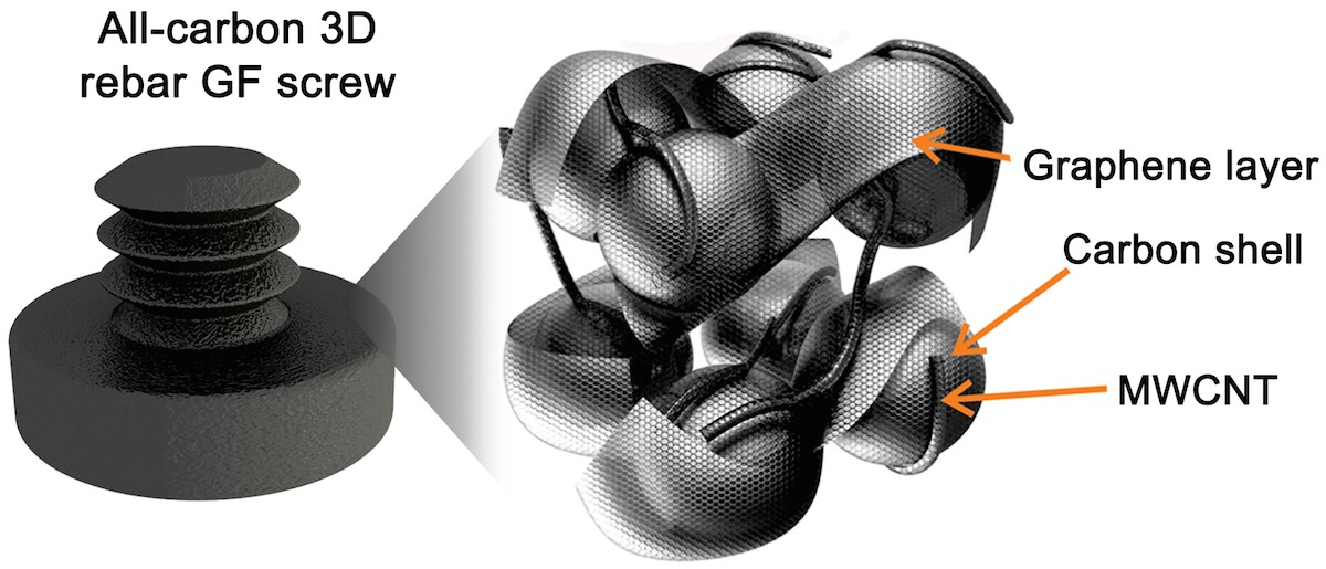 The structure of the carbon nanotube-reinforced 3D graphene shapes