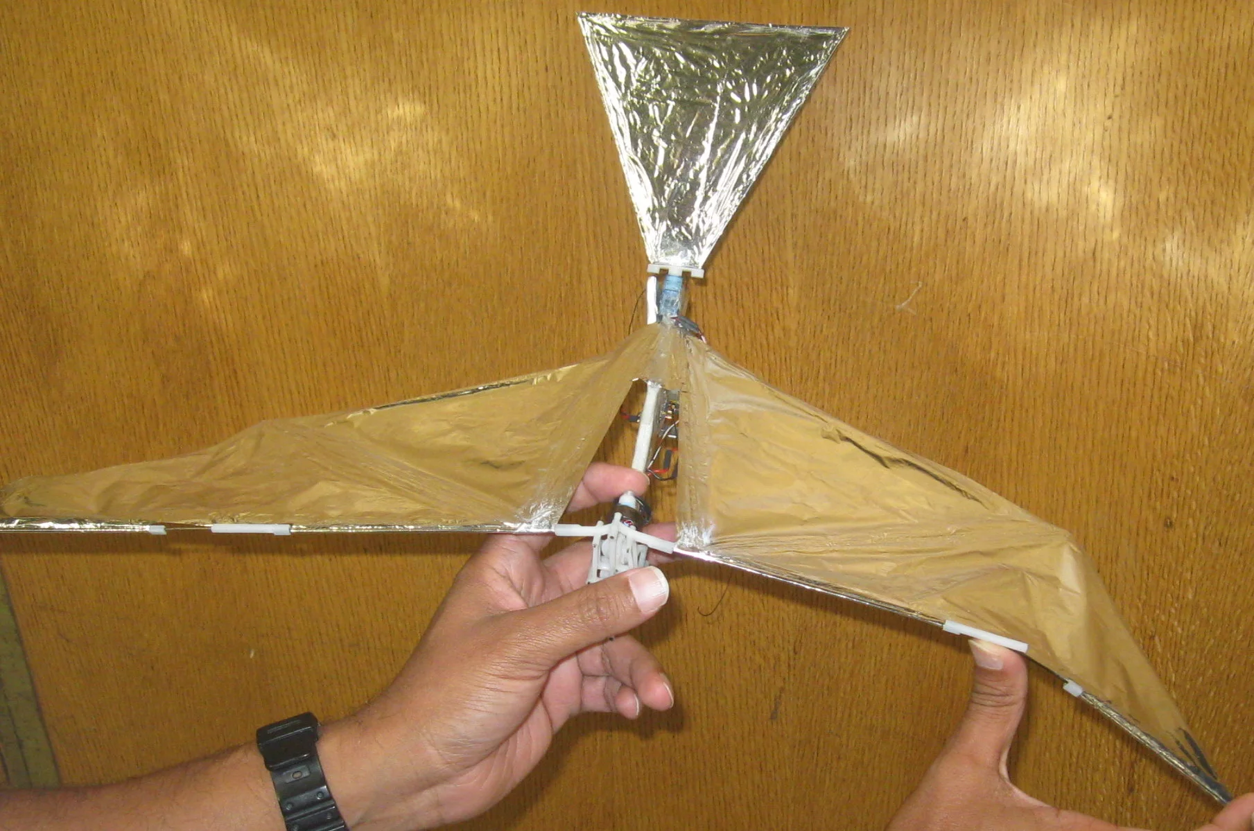 The earlier Big Bird prototype had jointed wings