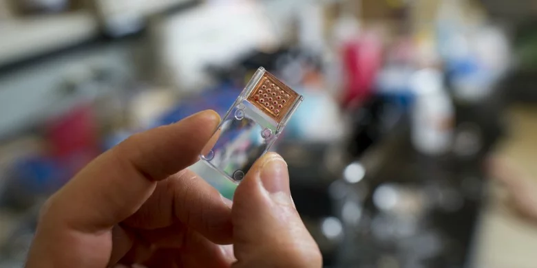 The thumb-sized Domino chip can perform 20 genetic tests from a drop of blood