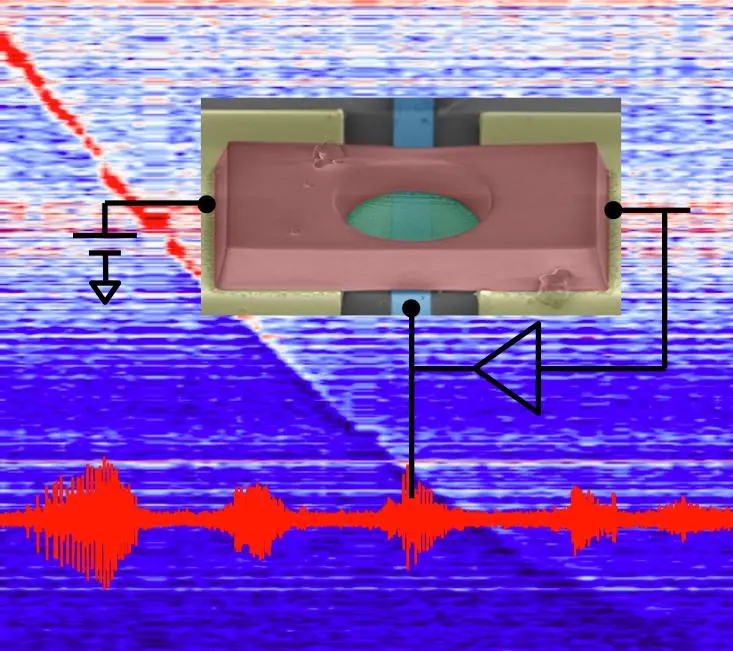 The development of graphene based nanoelectromechanical systems could lead to even slimmer cellphones (Image courtesy of Changyao Chen, Sunwoo Lee, Columbia University)