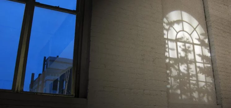 A window frame and stirring branches projected by Adam Frank's REVEAL