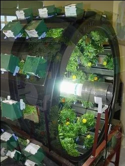 A fully-laden Volksgarden