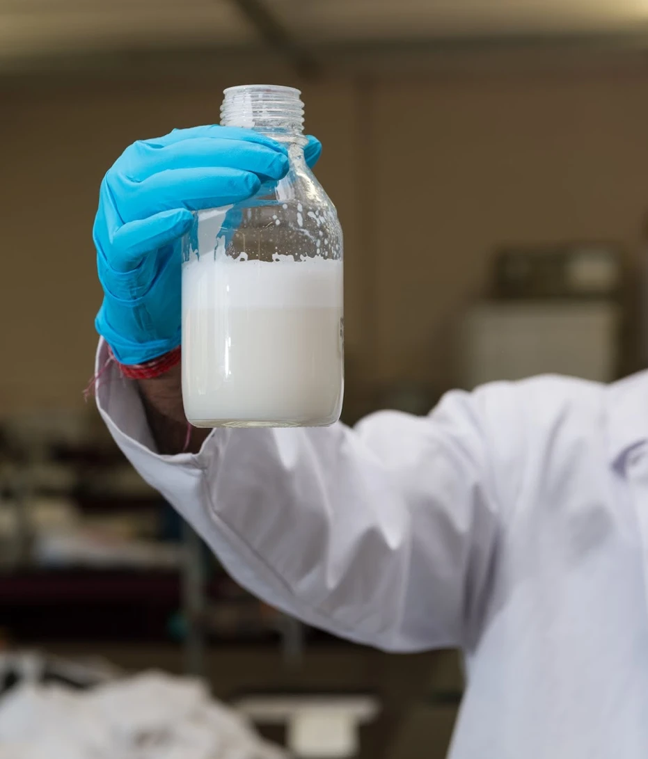 While the goal is to produce a product as good, if not better, than milk, as well as cheaper, Muufri may initially cost twice the amount of cow milk