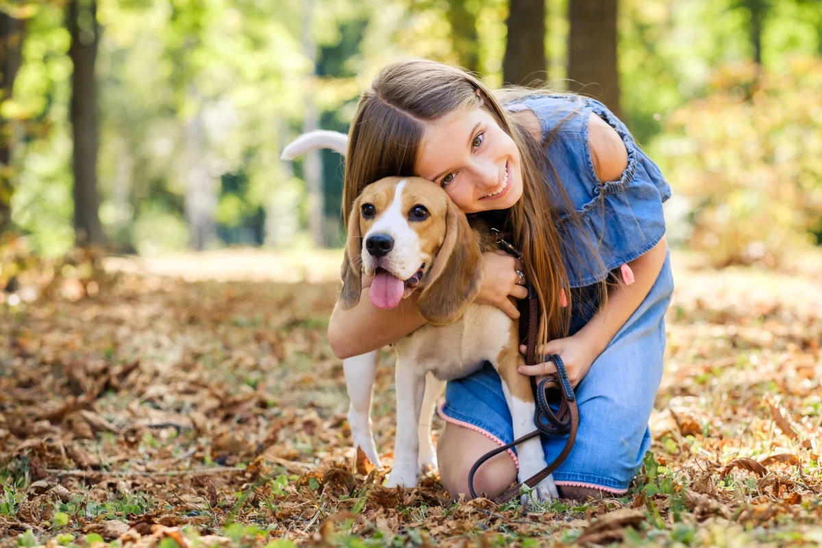 The beagle has paved the way for scientists to better understand dog (and human) epigenetics