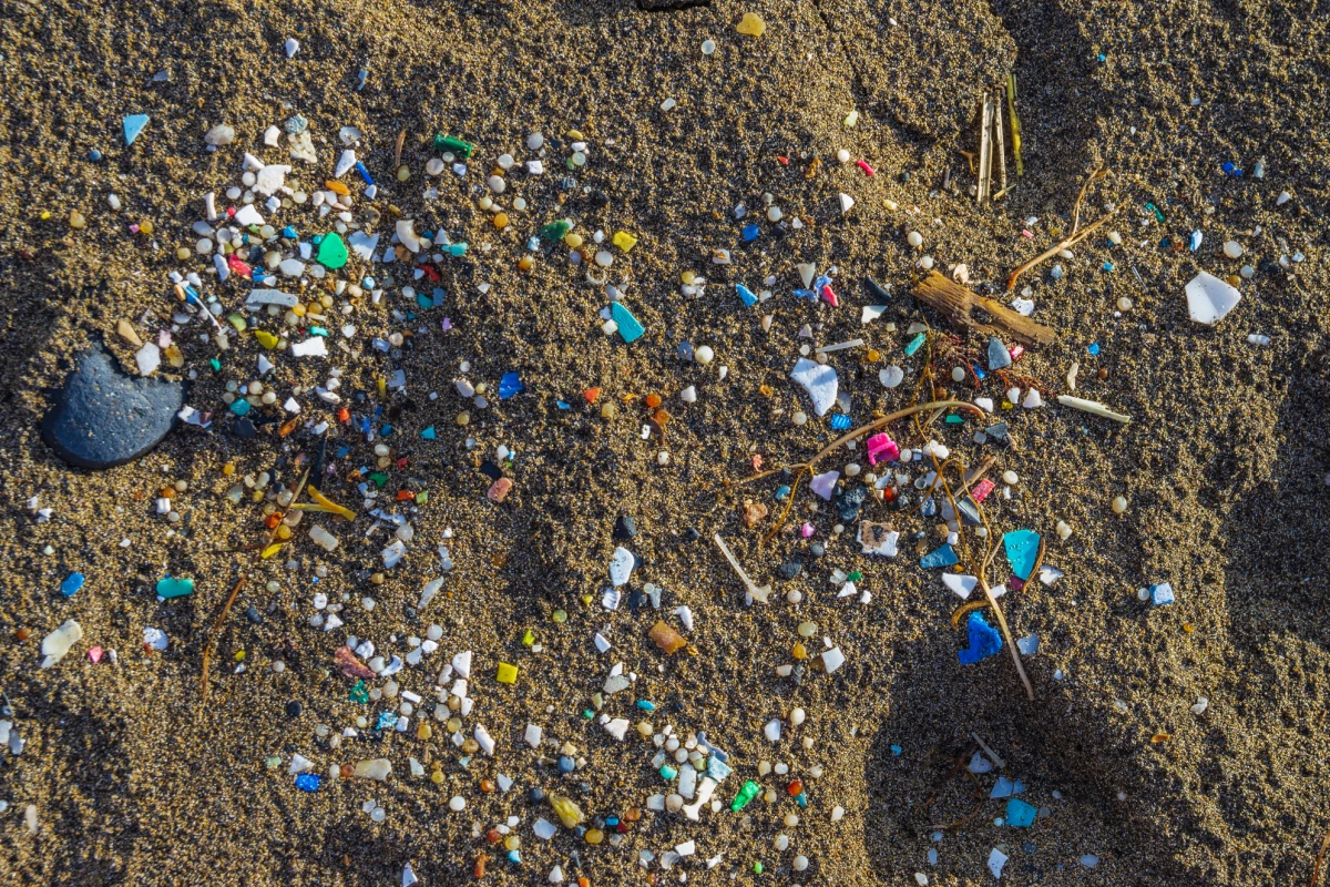 A new study has demonstrated that microplastics that wash out to sea can take dangeorus pathogens along for the ride