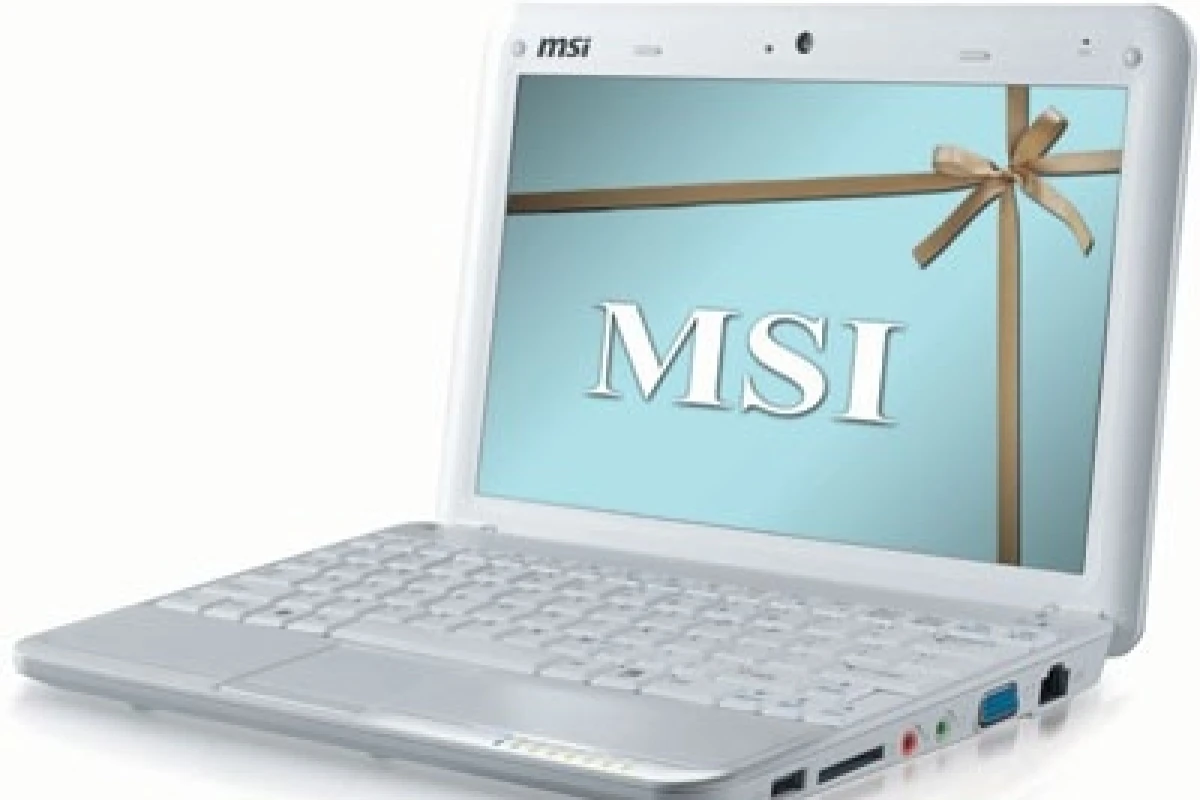 The MSI Wind U100