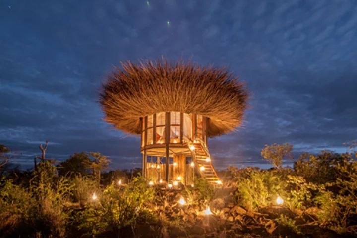 The Bird Nest hotel is Intended as a luxury bush retreat