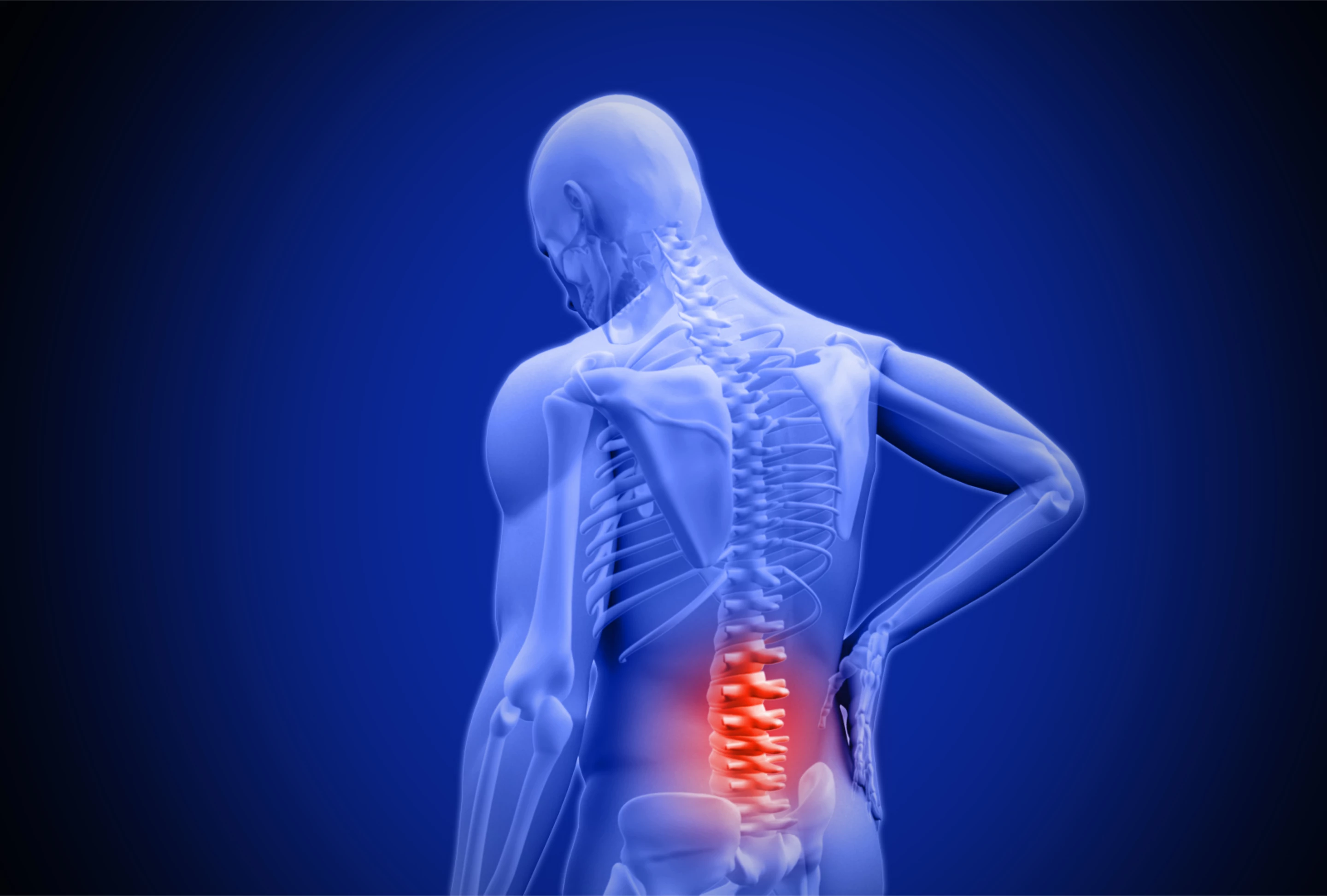 Scientists have found that a relatively new class of drugs known as senolytics can prevent spinal disc degeneration in mice