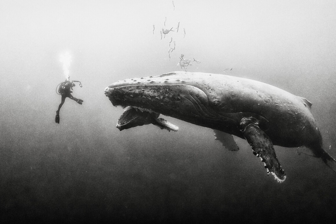 Beautiful Black And White Photography Delivers Stunning