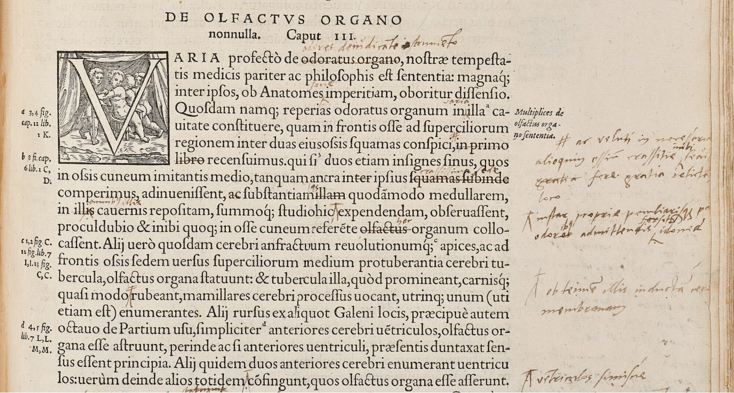 Like watching over the shoulder of one of history's most accomplished scientists and teachers, the annotated "fabrica" comes to life. If this story resonates with you, and you'd like a closer look at the annotations and their English translations, the entirety of Vesalius' work including the annotations from this book are now available in English for $1650 at the Vesalius Project.