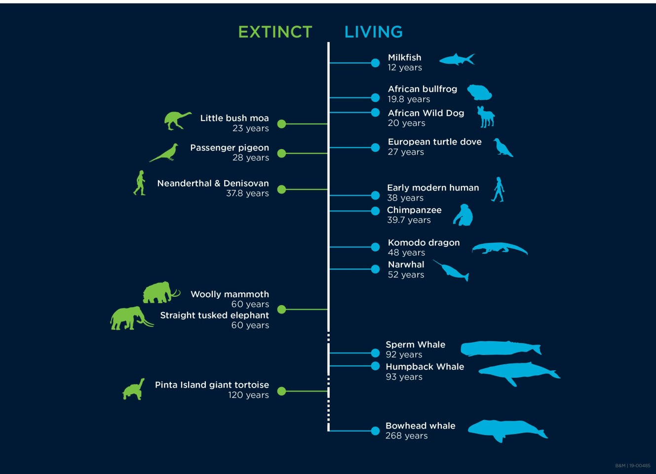 A sampling of some of the species that were studied