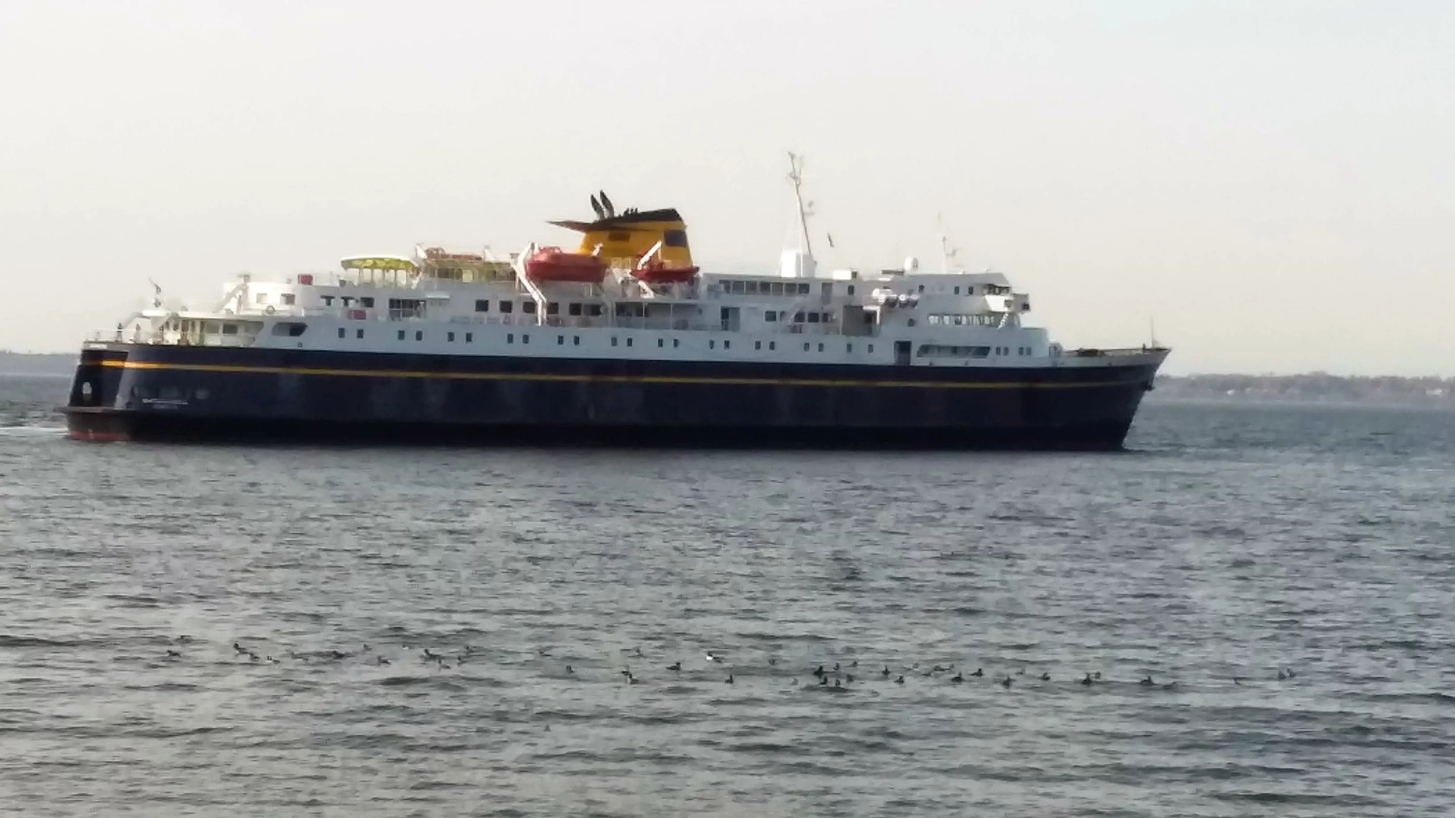 Sea collisions can cause millions of dollars in damage and put lives at risk