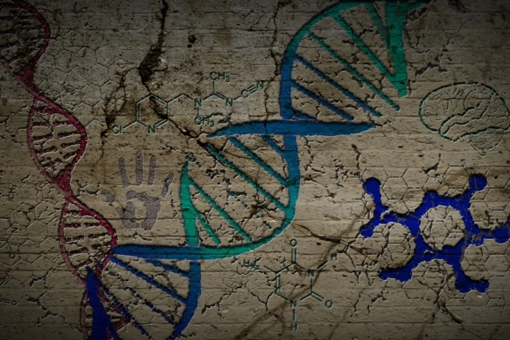 Evidence of two unknown, archaic human species has turned up in our DNA