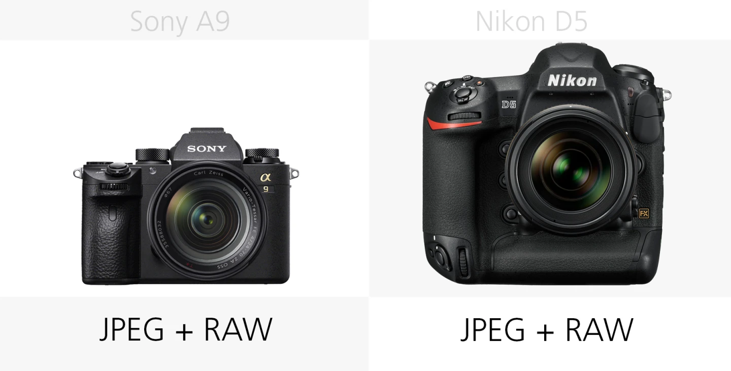 The photo filetypes of the Sony A9 and Nikon D5 compared