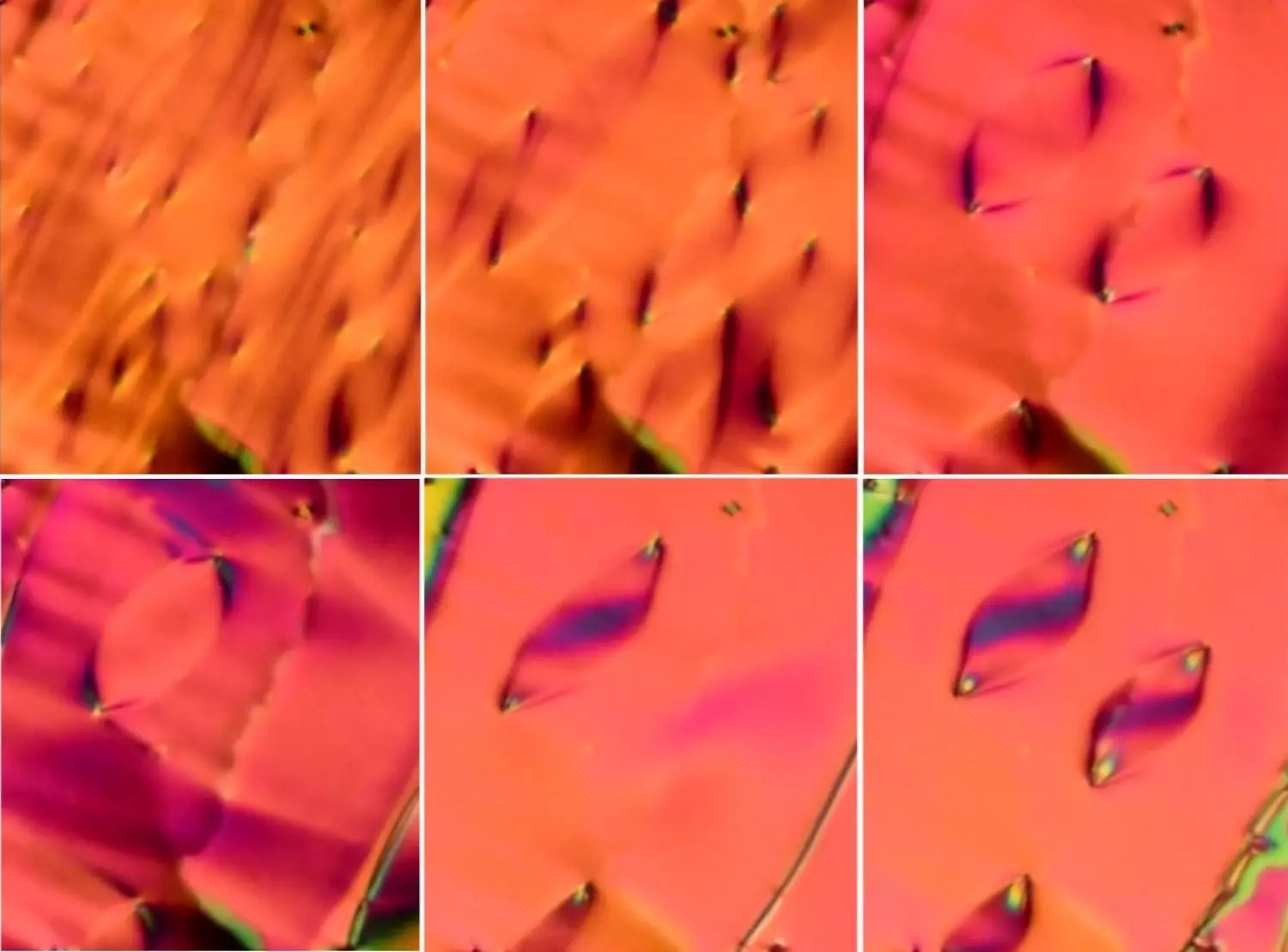 The newly discovered phase of liquid crystal as seen under the microscope