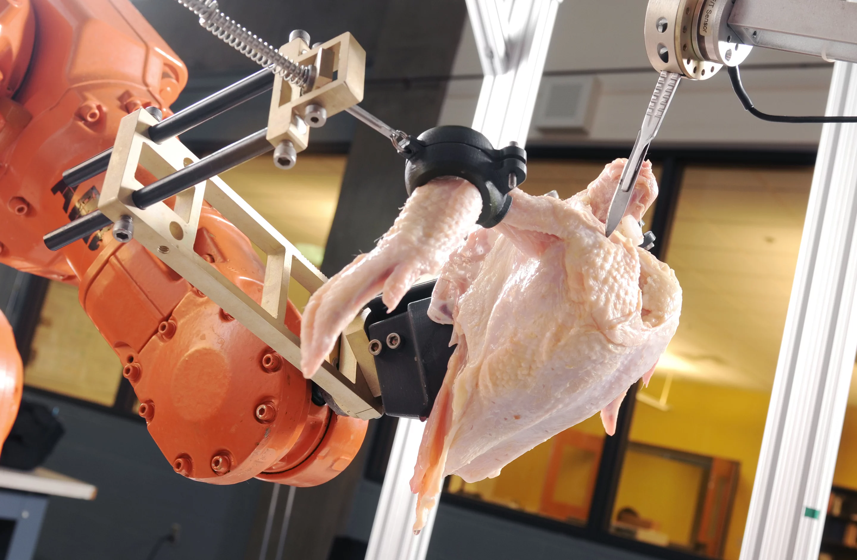 The Intelligent Cutting and Deboning System robot uses 3D imaging technology to automatically debone chickens