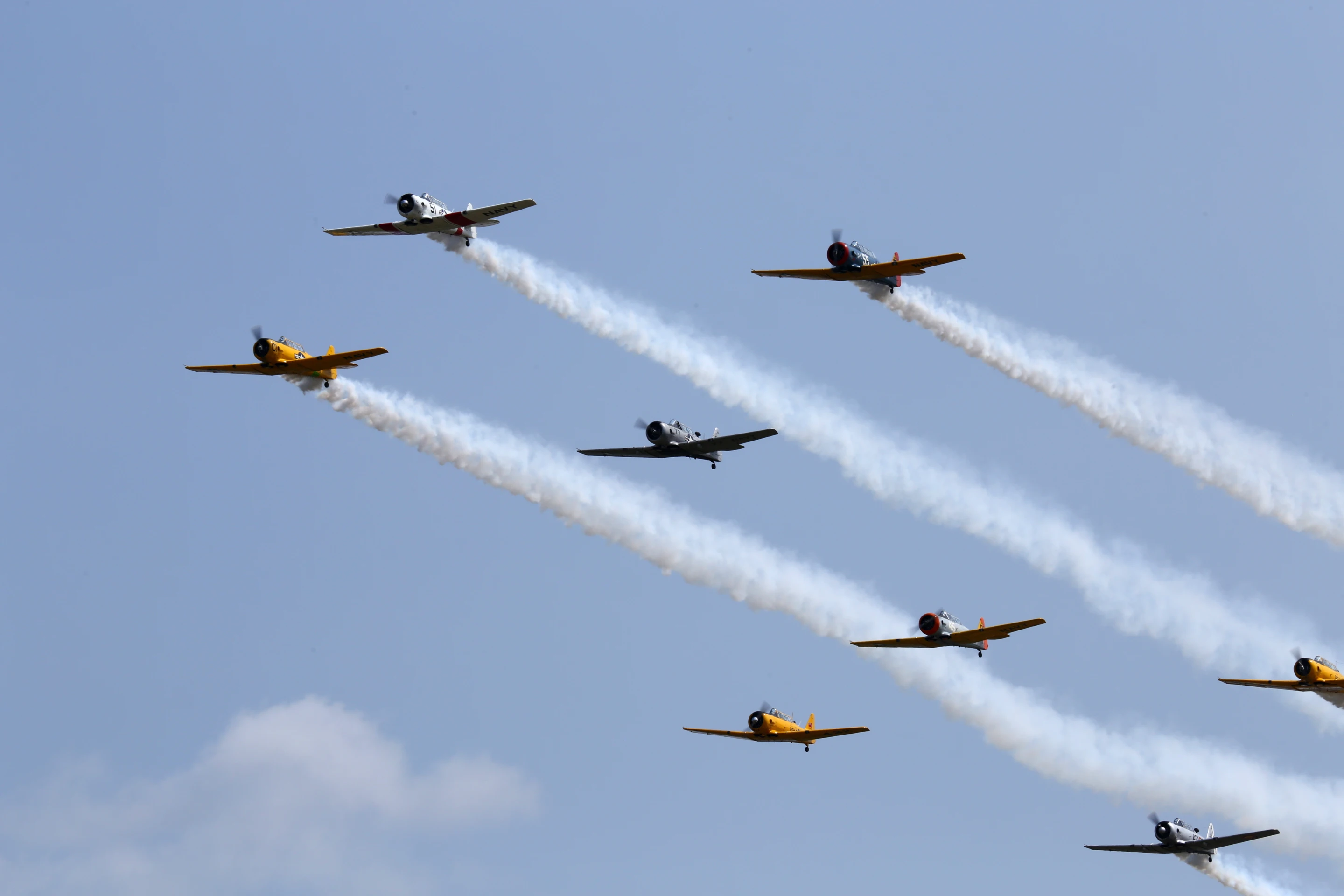 Herd of Harvards and Texans flying formation (Photo: Angus MacKenzie/Gizmag.com)