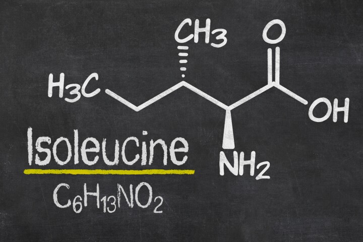 Reducing mice's intake of amino acid isoleucine produced improvements to longevity and health