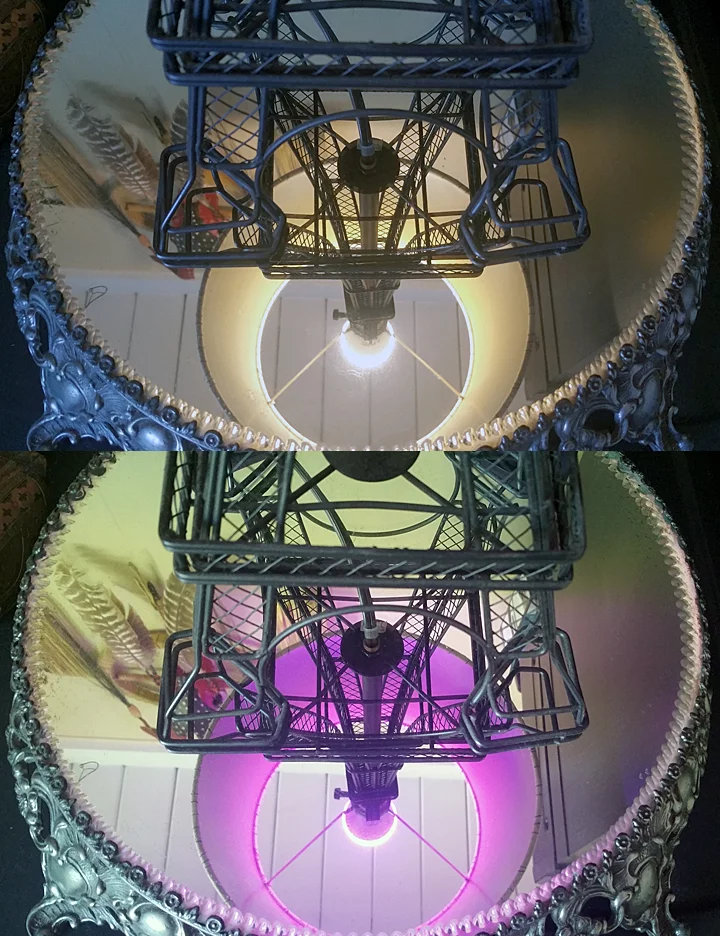 The MiPow Playbulb Color and Rainbow shine brightly during the day, no matter the color