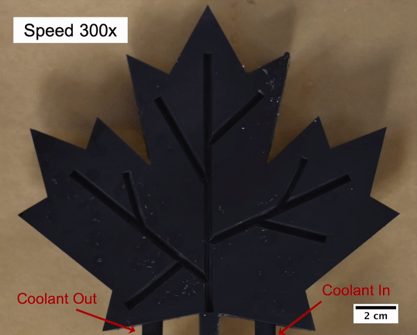 The team demonstrated their frost-repelling coating on a maple leaf