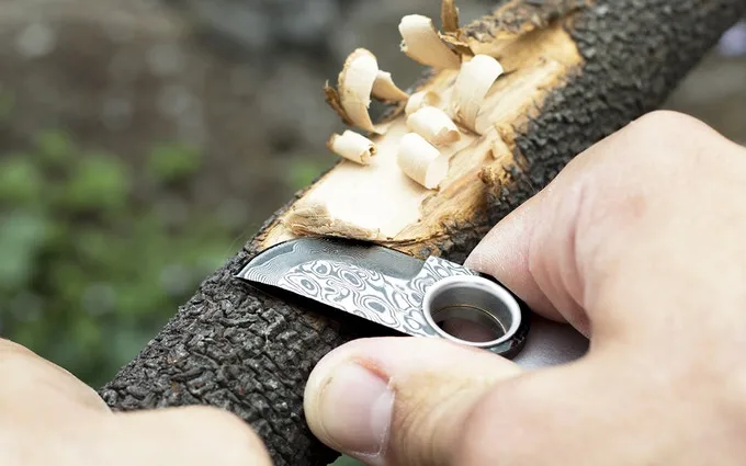 It looks robust by virtue of its short (4-cm or 1.6-inch) but thick blade